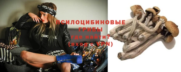 бутират Майский