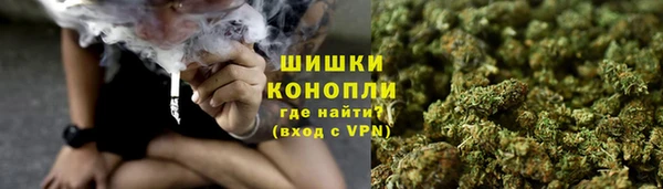 дмт Богородицк