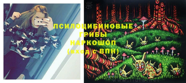 бутират Магас