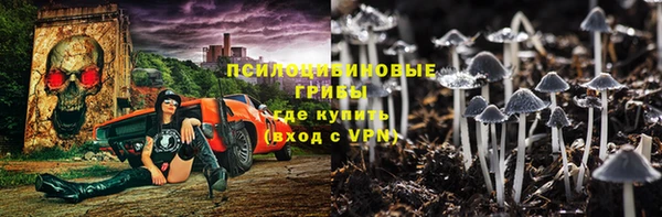 твердый Долгопрудный