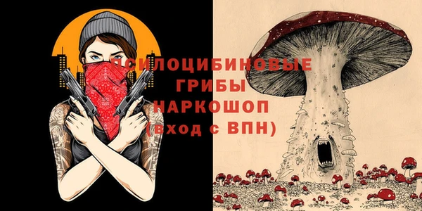 бутират Майский