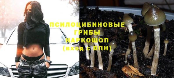 герыч Медвежьегорск