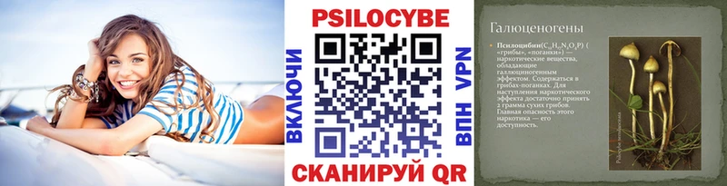 Псилоцибиновые грибы GOLDEN TEACHER MEGA маркетплейс Новозыбков закладки