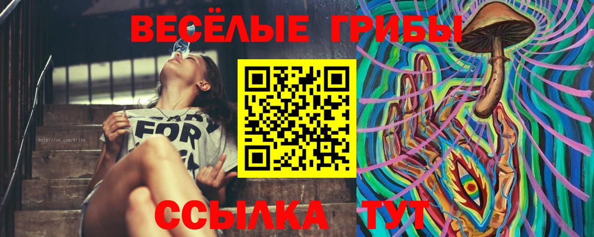 Меф Новозыбков