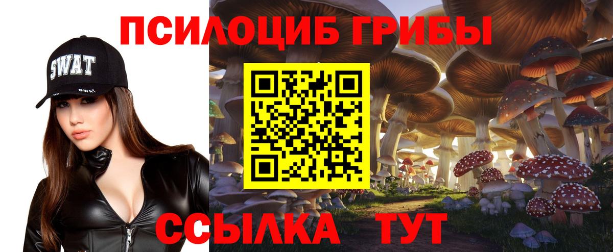 Галлюциногенные грибы MAGIC MUSHROOMS Новозыбков