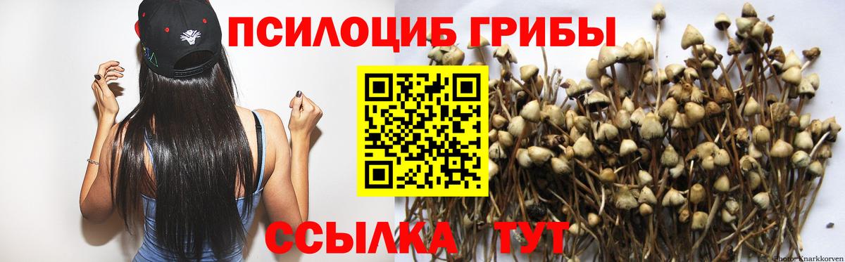 Галлюциногенные грибы мухоморы  Вход с VPN  Новозыбков 