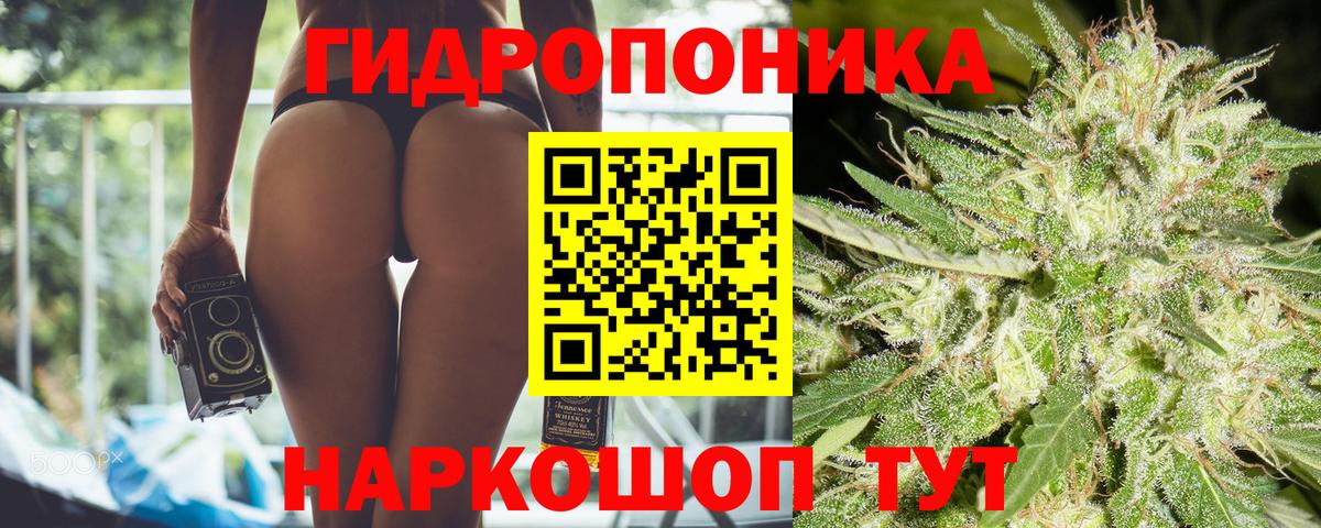Конопля THC 21%  Шишки марихуана Bruce Banner  Новозыбков  Вход с VPN 